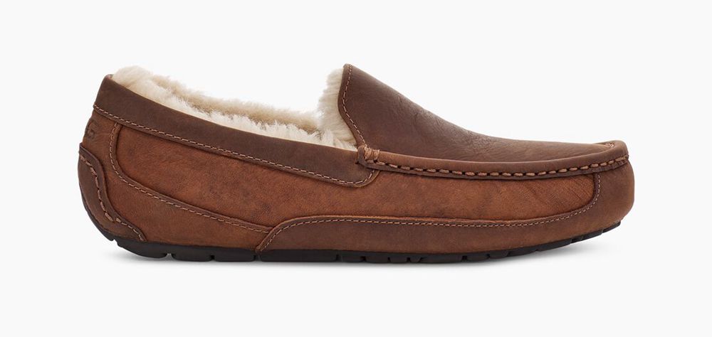 Ugg Slipper Mens - Ugg Ascot Chocolate - 476BMWLHF